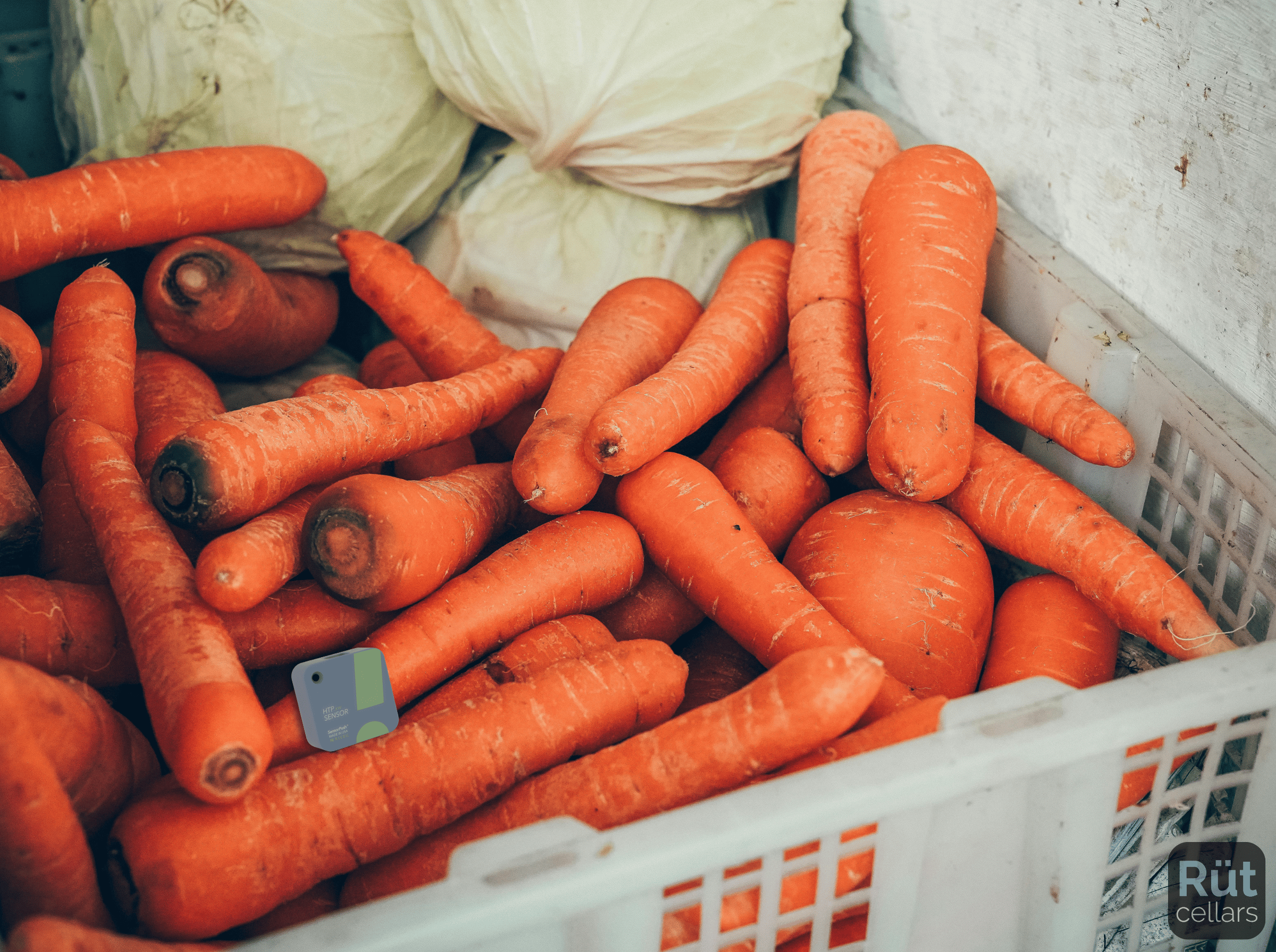 Checking Your Storage: Simple Observation vs. Sensors
